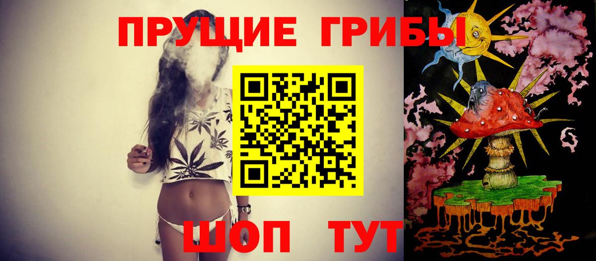 Галлюциногенные грибы Psilocybine cubensis  Вход с VPN  Кубинка 
