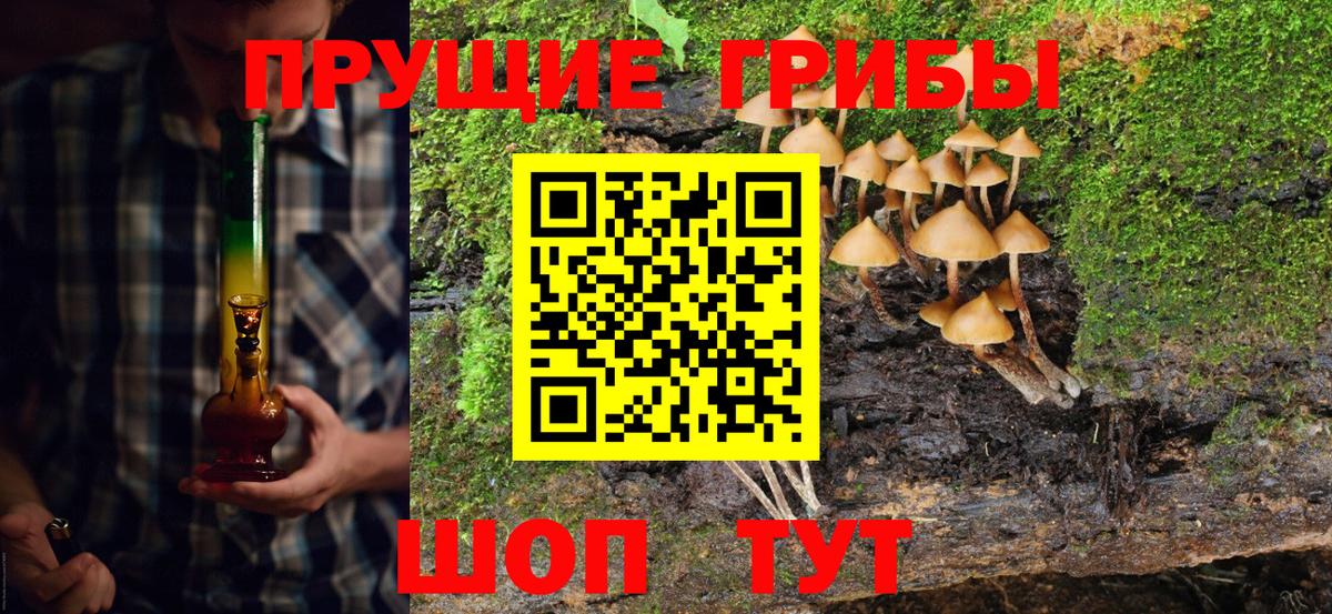 Галлюциногенные грибы Psilocybine cubensis Кубинка